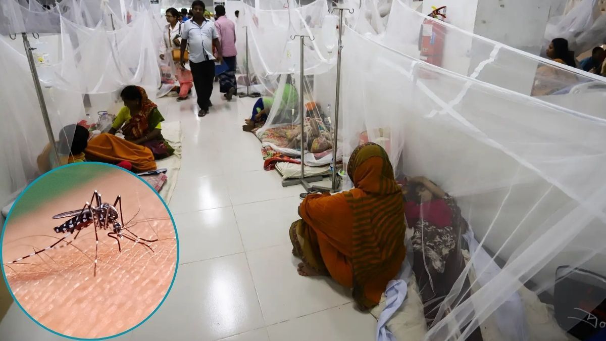 ২৪ ঘণ্টায় ডেঙ্গুতে মৃত্যু এক, আক্রান্ত ৩৮৩